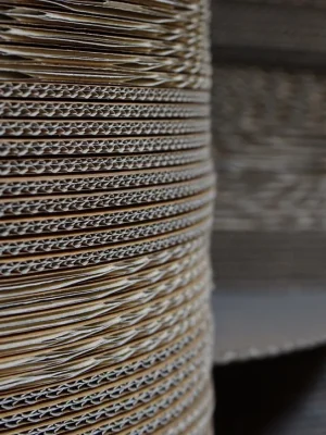 CC839DB6-1B98-4CC7-A3E8-172B2C48543C_1_105_c